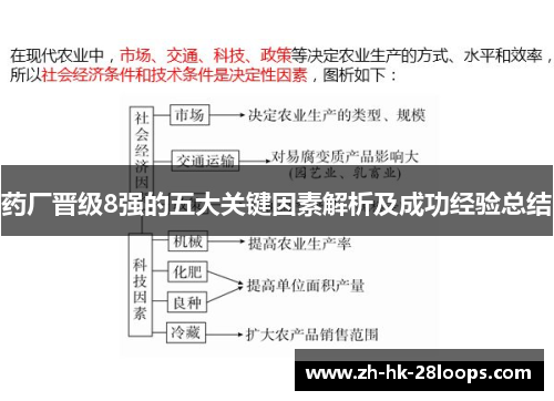 药厂晋级8强的五大关键因素解析及成功经验总结