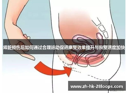 肾脏损伤后如何通过合理运动促进康复效果提升与恢复速度加快