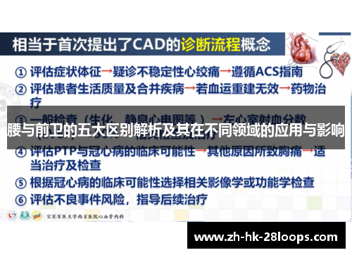 腰与前卫的五大区别解析及其在不同领域的应用与影响